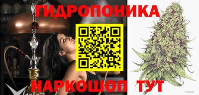 ALPHA PVP Ачхой-Мартан