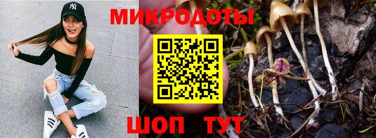 Псилоцибиновые грибы Psilocybe  Псилоцибиновые грибы Cubensis  Архангельск  наркошоп  Вход с VPN 