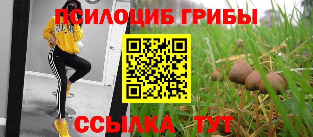 Галлюциногенные грибы мухоморы Архангельск